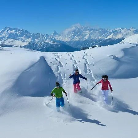 Sophia 1. Stock West Lejlighed Riederalp