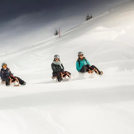 Sophia 1. Stock West Lejlighed Riederalp