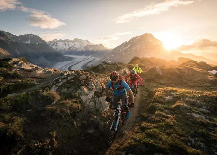 Sophia 1. Stock West Lejlighed Riederalp