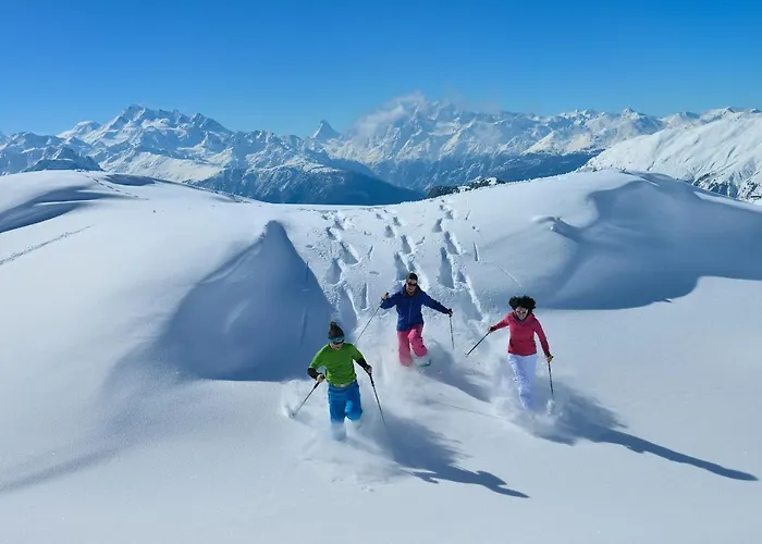 Sophia 1. Stock West Lejlighed Riederalp