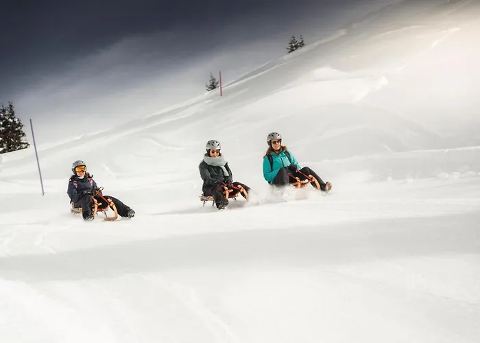 Sophia 1. Stock West Lejlighed Riederalp