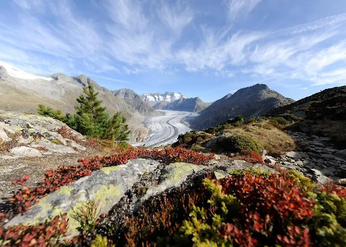 Lejlighed Sophia 1. Stock West Riederalp